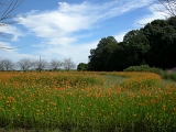 DSCN0949