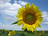 DSCN0962