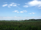 DSCN0969