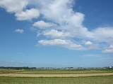 DSCN0971