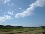 DSCN0974