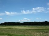 DSCN0988