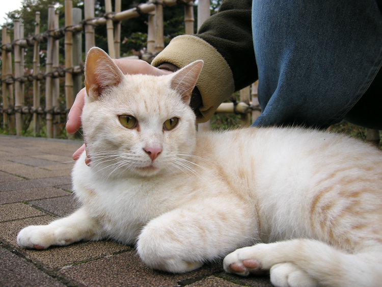 DSCN1217.jpg