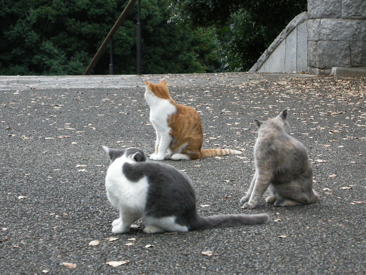 DSCN1222.jpg