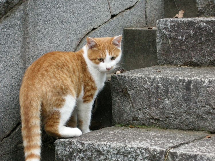DSCN1234.jpg