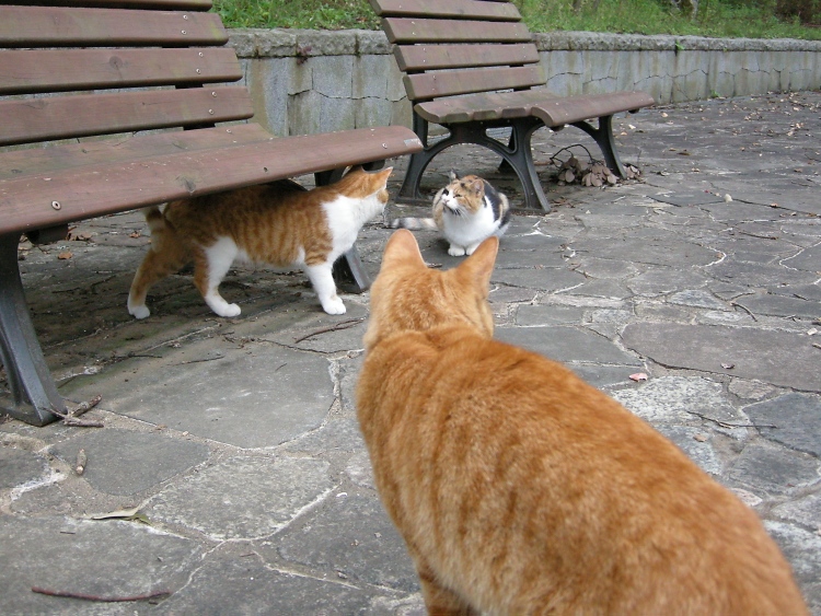 DSCN1241.jpg