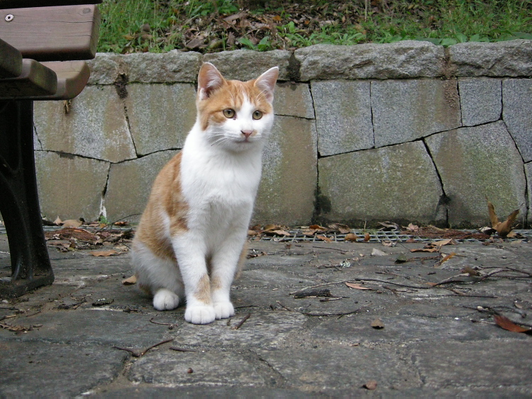 DSCN1263.jpg
