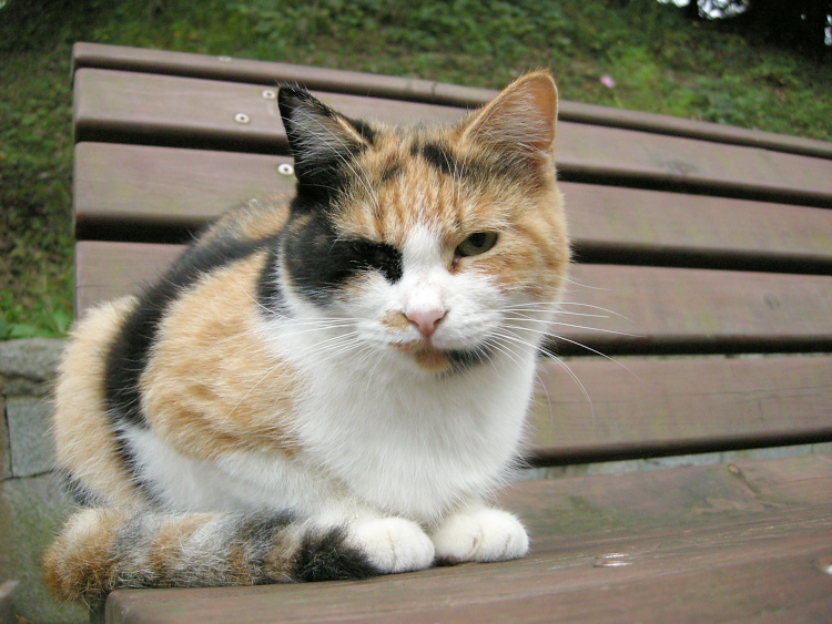 DSCN1265.jpg