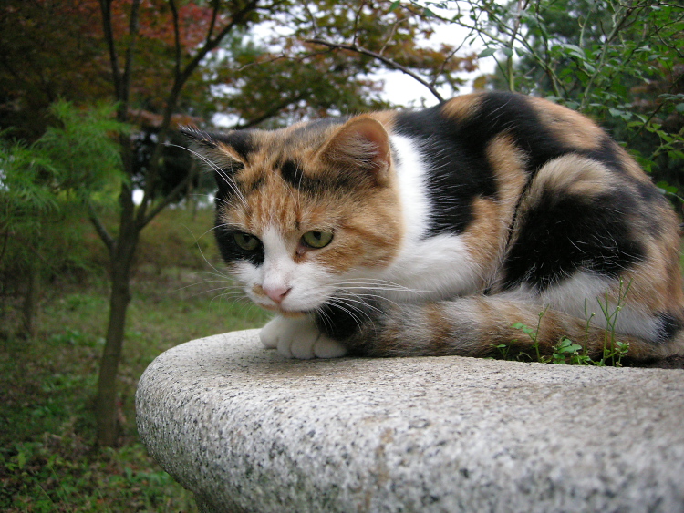 DSCN1268.jpg