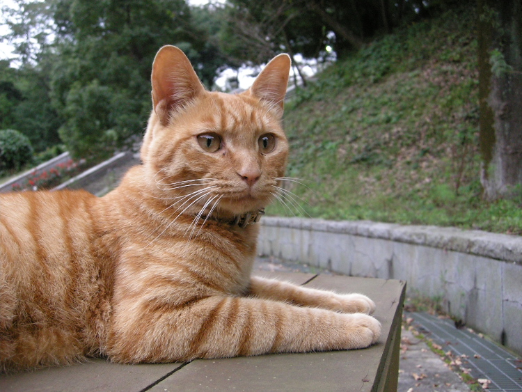 DSCN1277.jpg