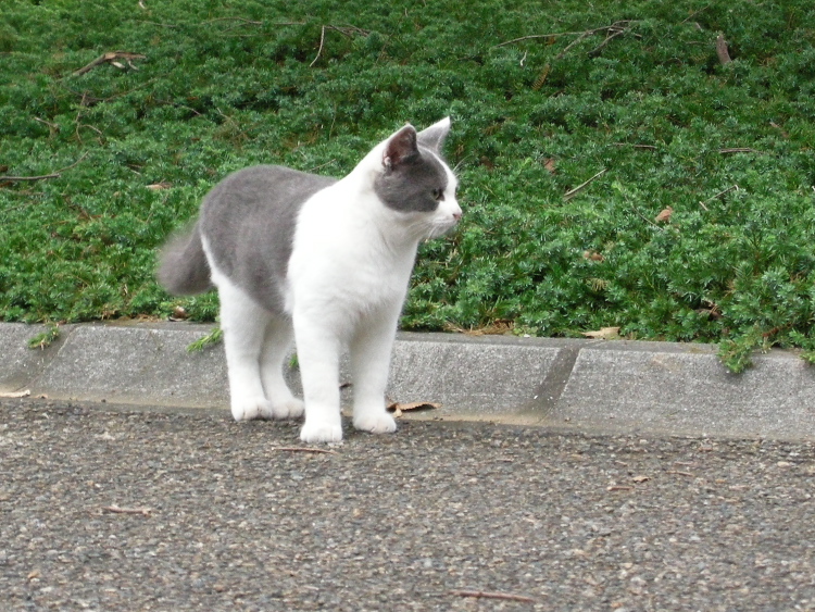 DSCN1286.jpg