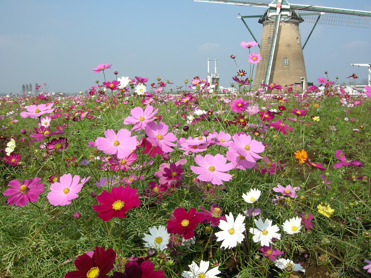 DSCN1293.jpg