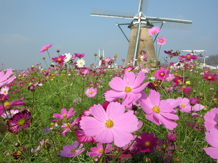 DSCN1298.jpg