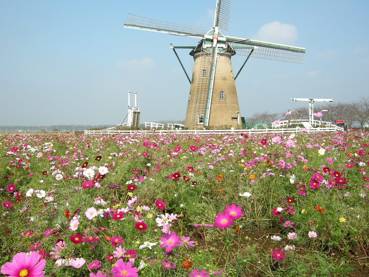 DSCN1308.jpg