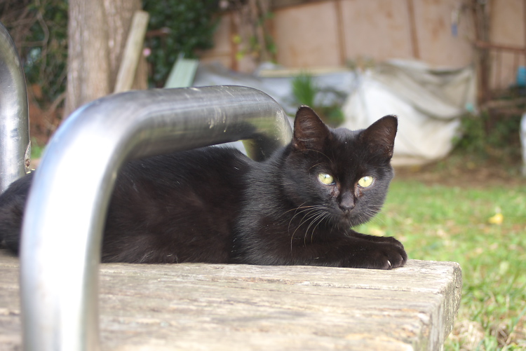 IMGP2381.jpg
