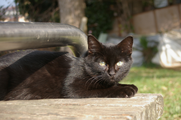 IMGP2389.jpg