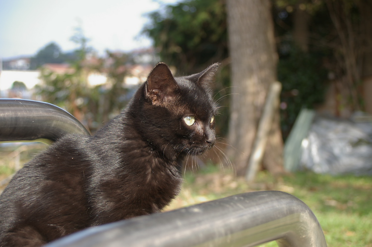 IMGP2394.jpg