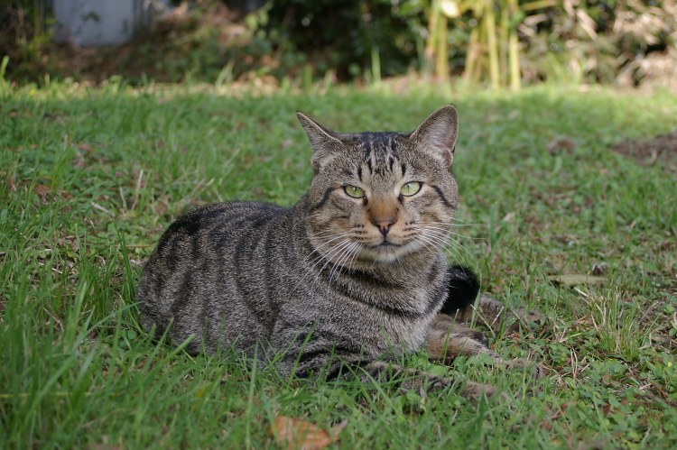 IMGP2402.jpg