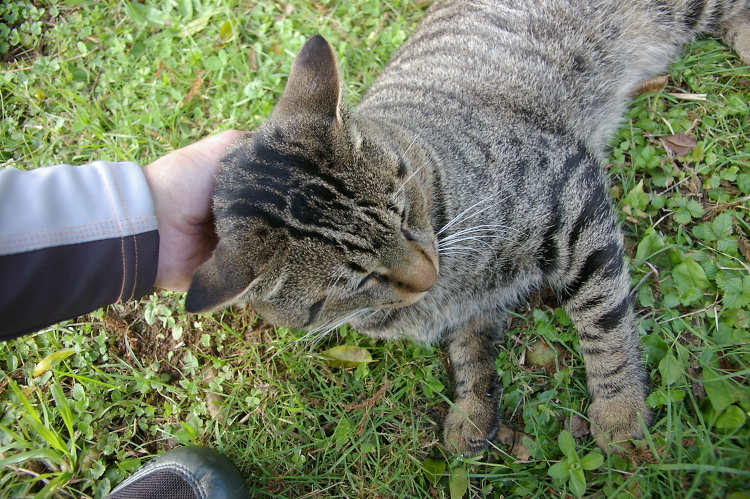IMGP2407.jpg