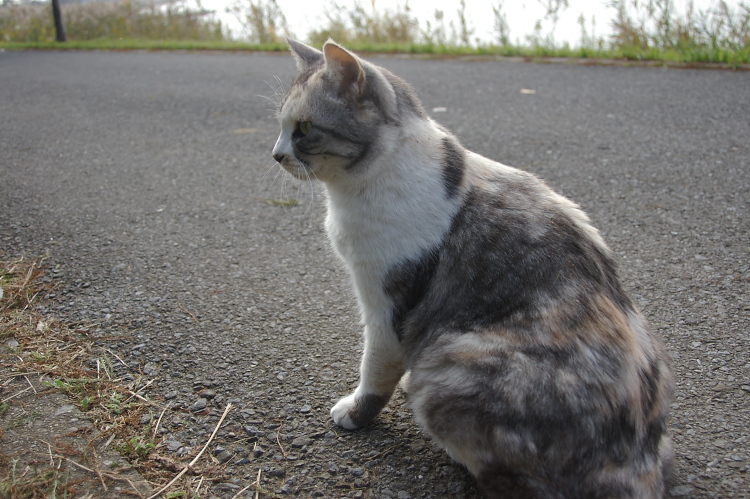 IMGP2421.jpg