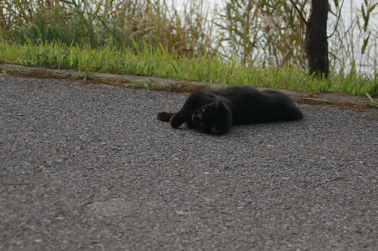 IMGP2424.jpg