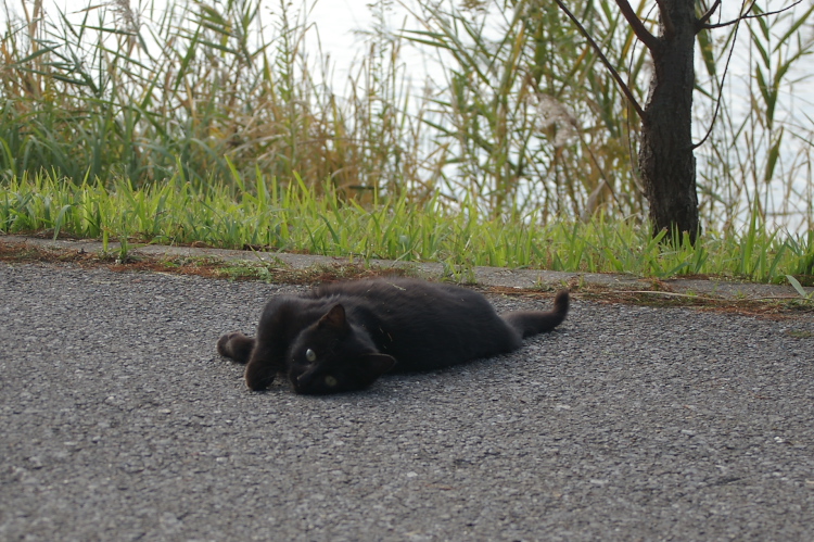 IMGP2427.jpg