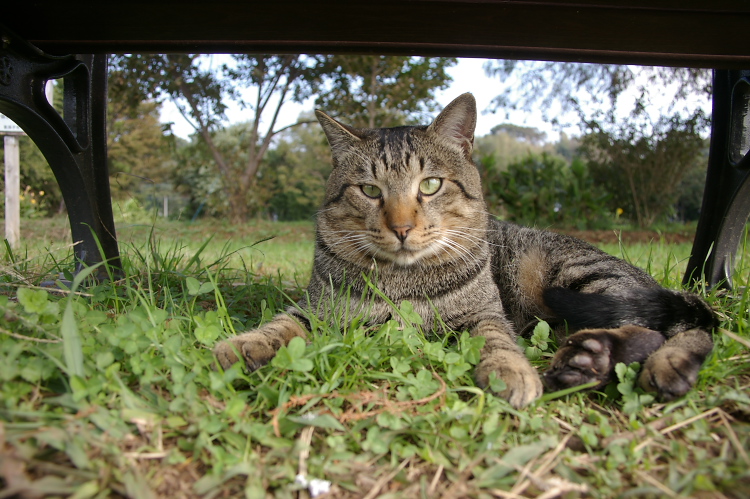 IMGP2433.jpg