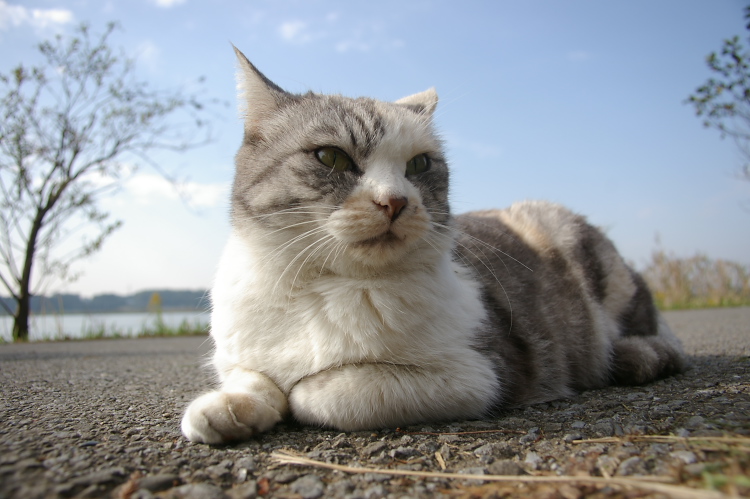 IMGP2469.jpg