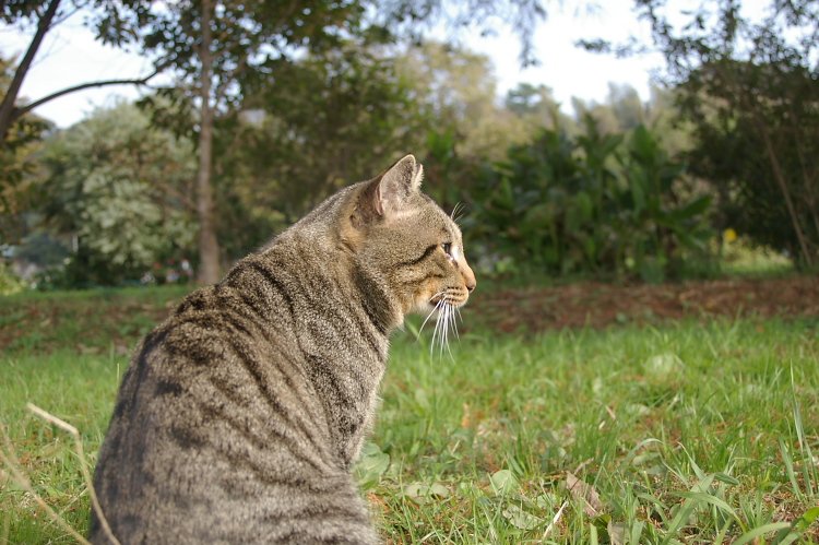 IMGP2470.jpg