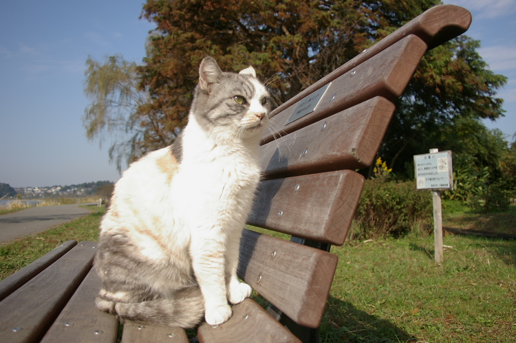 IMGP2499.jpg