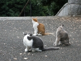 DSCN1222