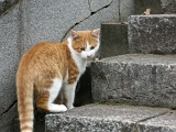 DSCN1234