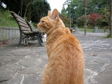 DSCN1236