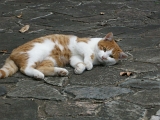 DSCN1243