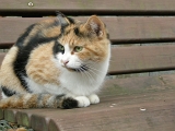 DSCN1260
