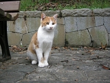 DSCN1263