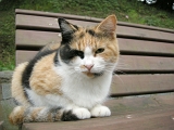 DSCN1265