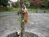 DSCN1266