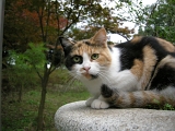 DSCN1267