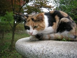 DSCN1268