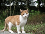 DSCN1273