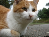 DSCN1279