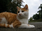 DSCN1282