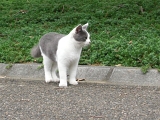 DSCN1286
