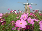DSCN1298