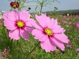 DSCN1304