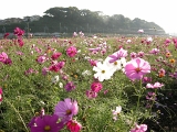 DSCN1333