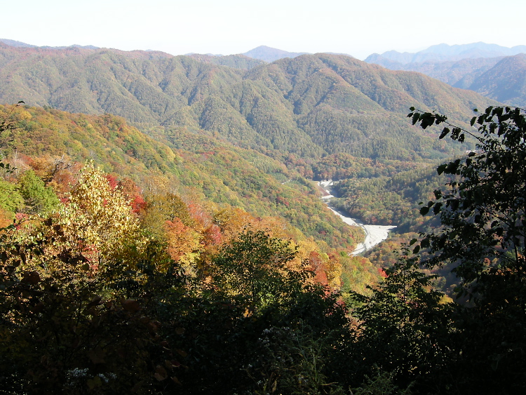 DSCN1350.jpg