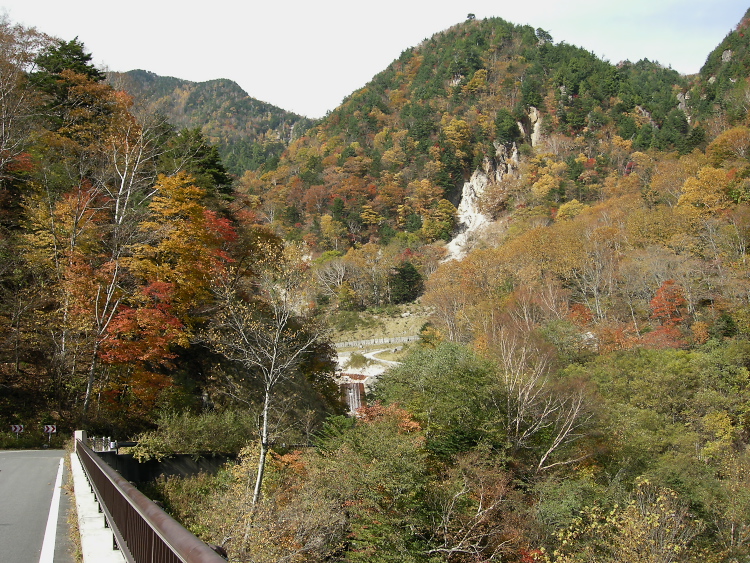 DSCN1364.jpg