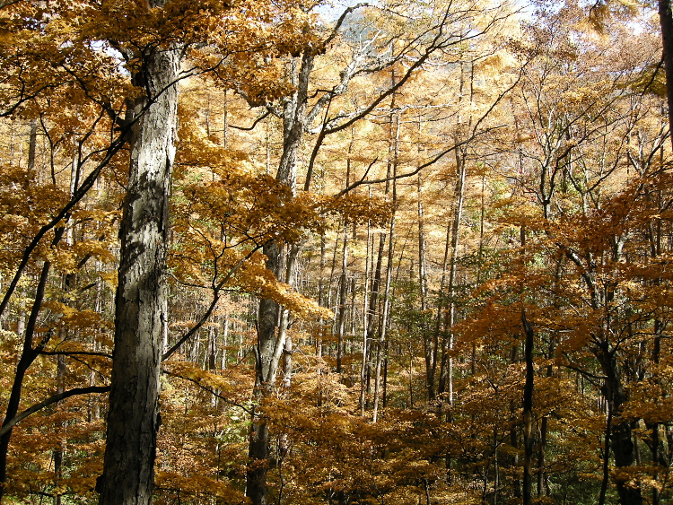 DSCN1384.jpg
